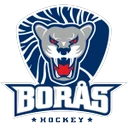 Boras