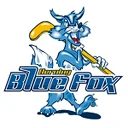 Herning Blue Fox