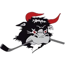Rodovre Mighty Bulls