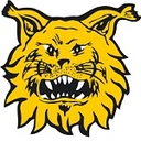 Ilves