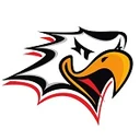 Vaasan Sport