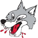 Sudbury Wolves