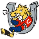 Barrie Colts