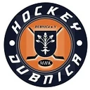 Dubnica