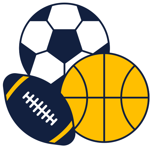 variety of sport icon